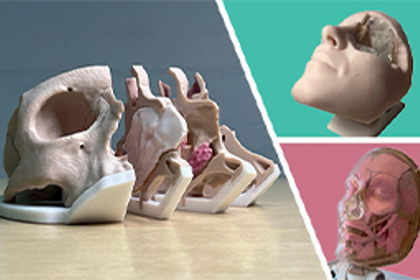 3D Surgical Models